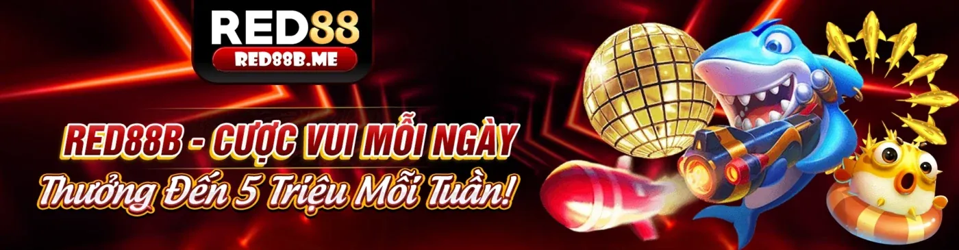 Chính sách GDPR của mint88 hiện đang mở